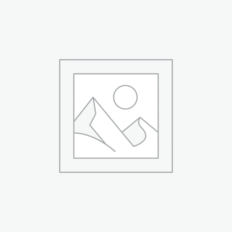 Abacaxi Desidratado em rodelas 50 g