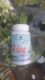 Aloe vera 60 pastilhas 500mg (fitonatus)